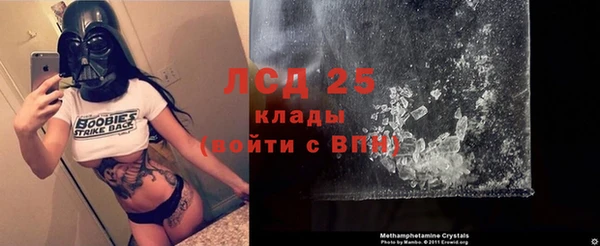 прущие крисы Аркадак