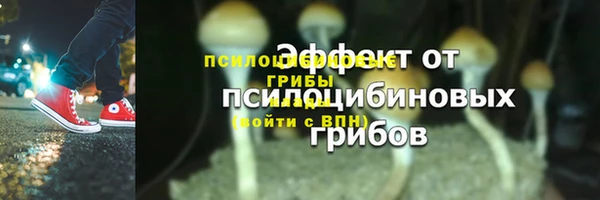 spice Армянск